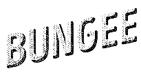 Salto Bungee