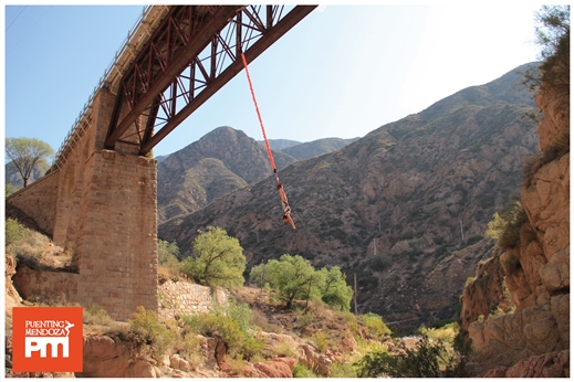 Bungee